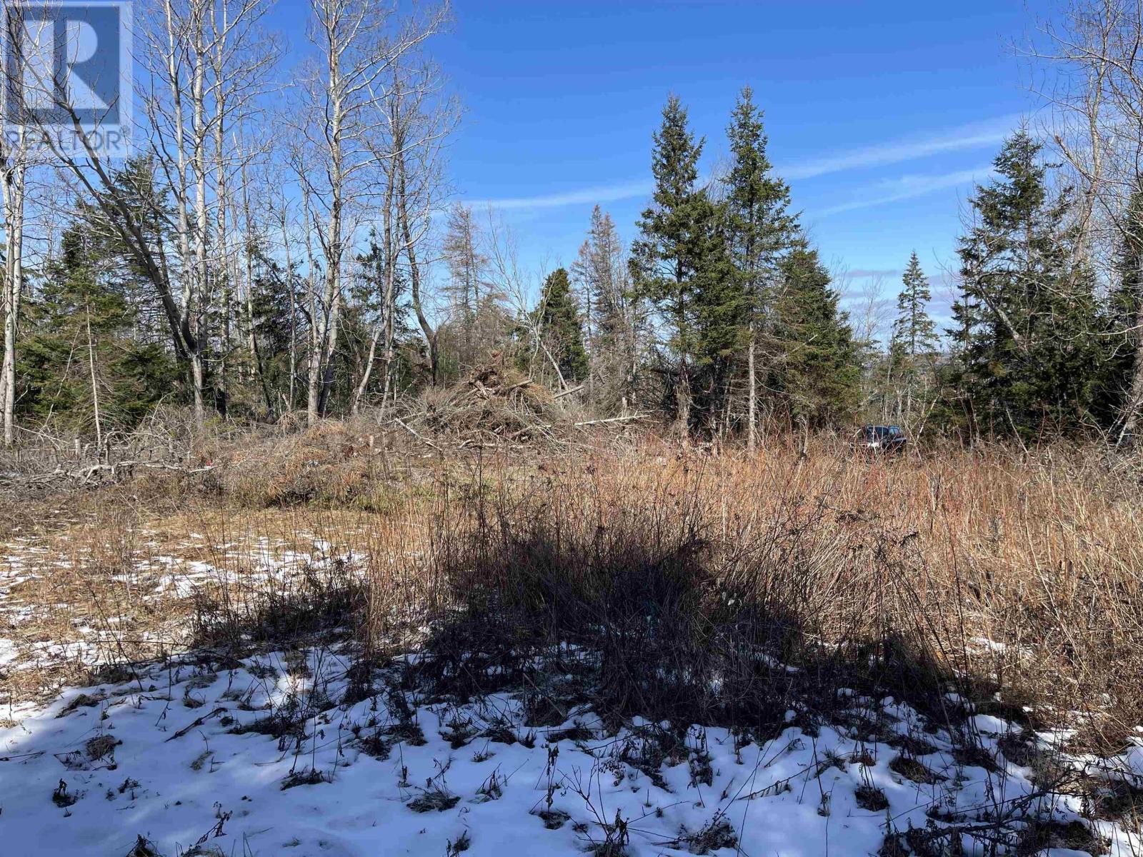 Lot 87-2 Highway 6, Wallace Ridge, Nova Scotia  B0K 1E0 - Photo 11 - 202506180