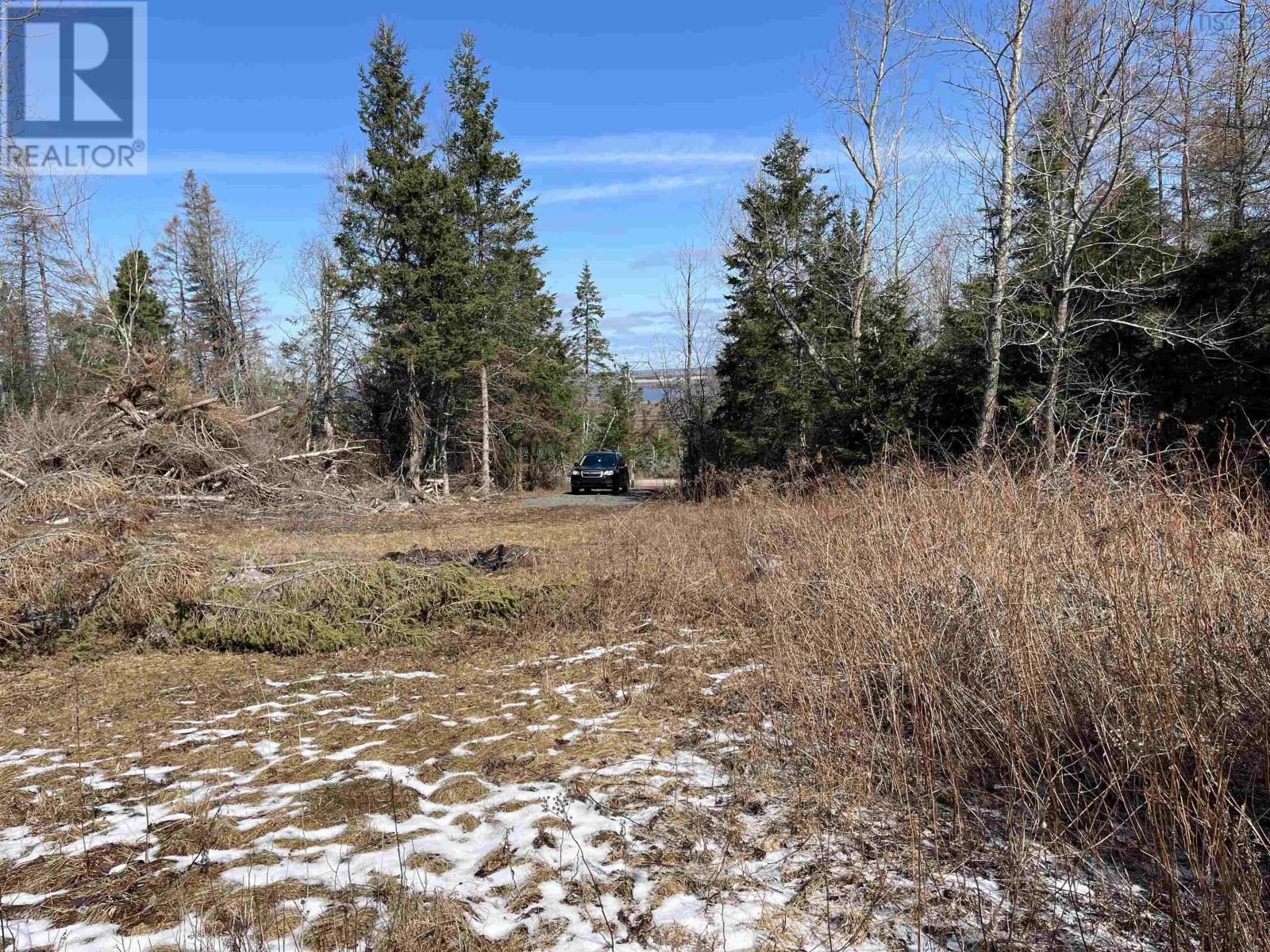 Lot 87-2 Highway 6, Wallace Ridge, Nova Scotia  B0K 1E0 - Photo 12 - 202506180