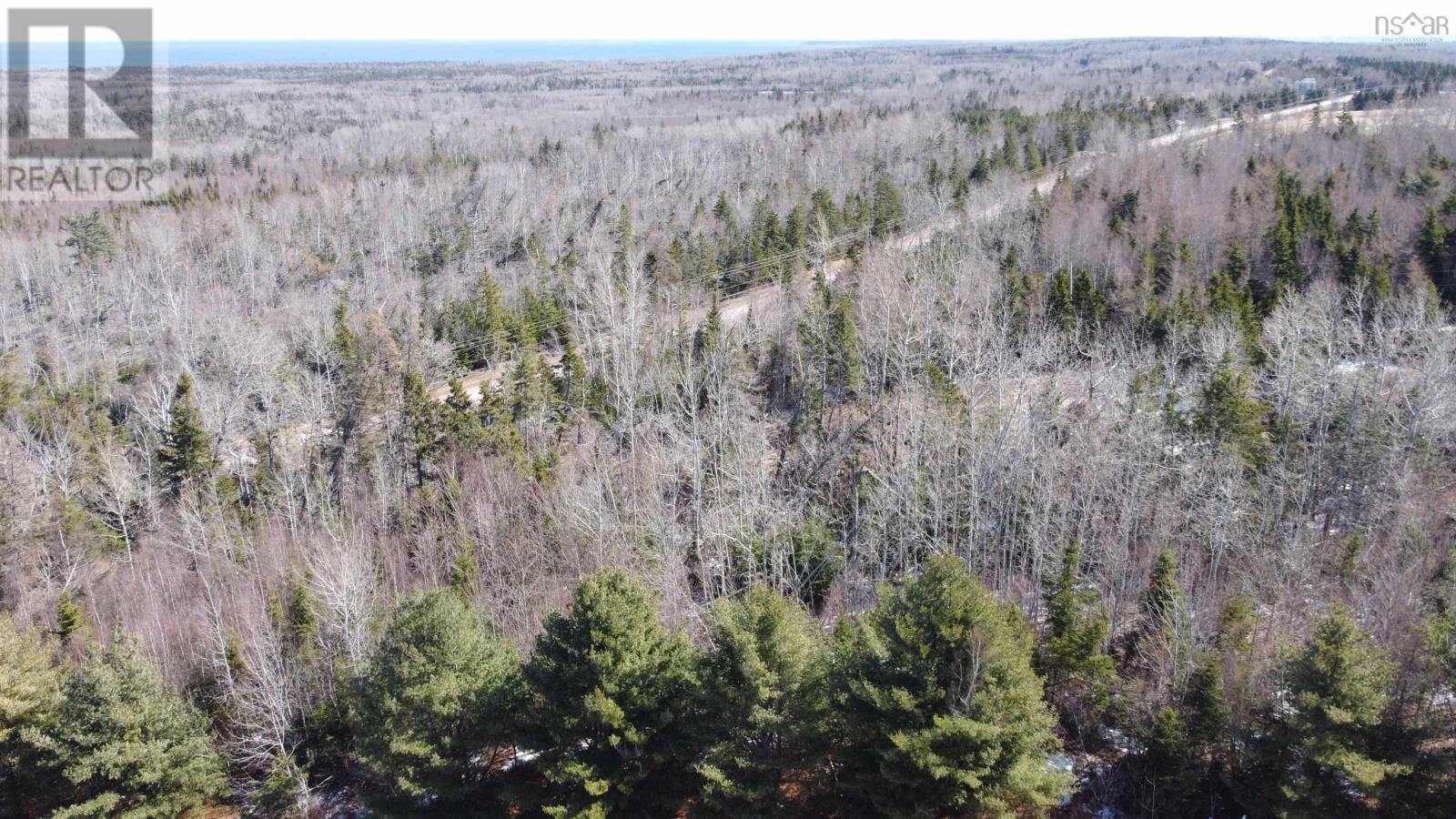 Lot 87-2 Highway 6, Wallace Ridge, Nova Scotia  B0K 1E0 - Photo 37 - 202506180