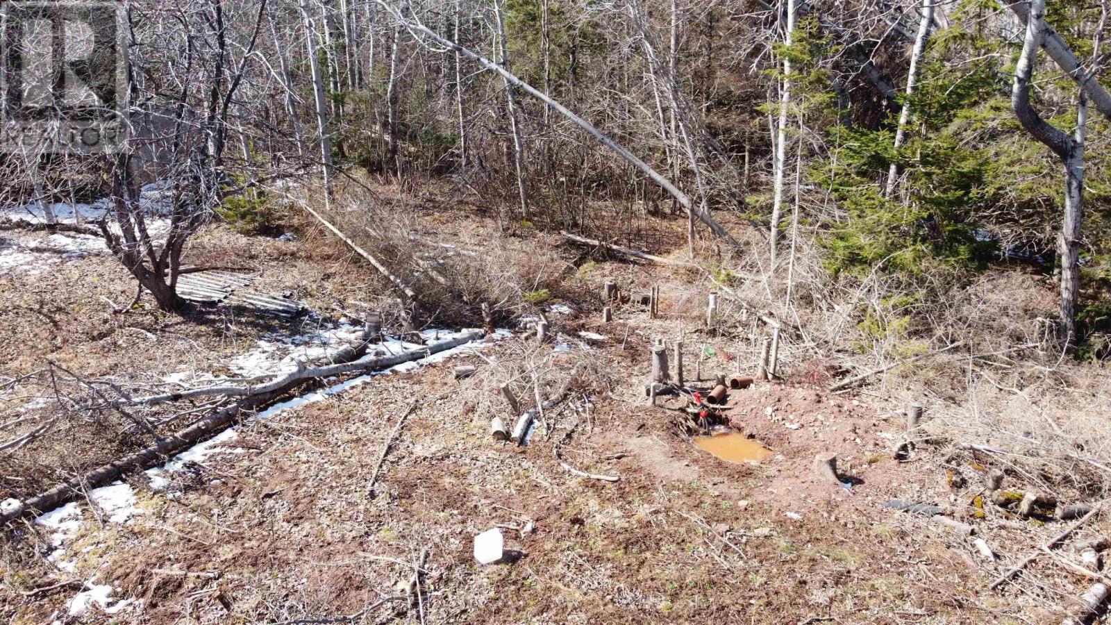 Lot 87-2 Highway 6, Wallace Ridge, Nova Scotia  B0K 1E0 - Photo 40 - 202506180