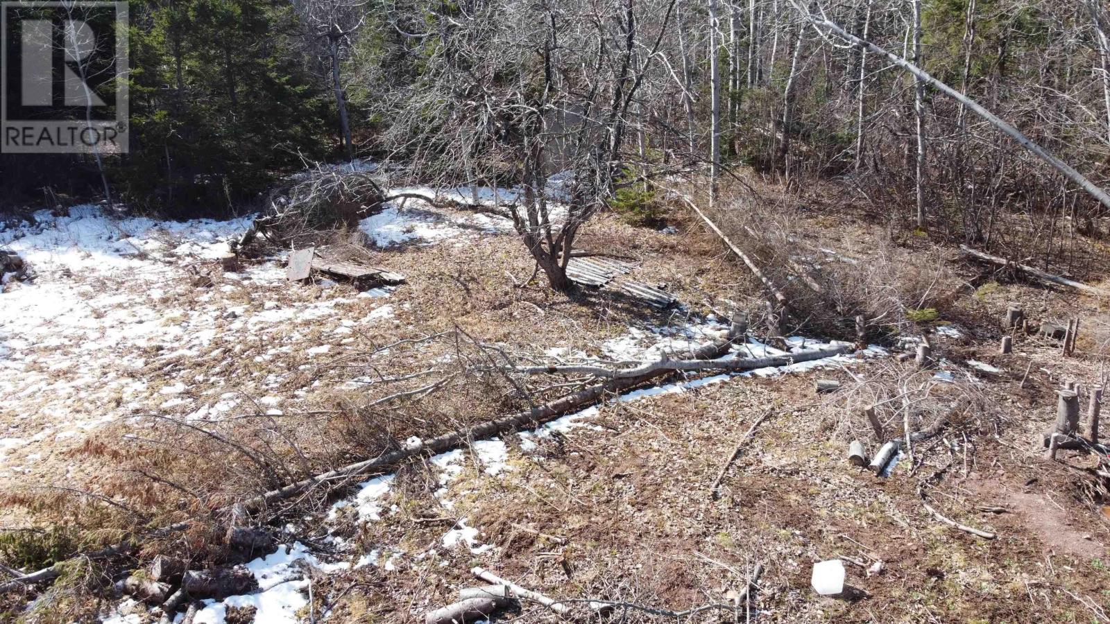 Lot 87-2 Highway 6, Wallace Ridge, Nova Scotia  B0K 1E0 - Photo 41 - 202506180