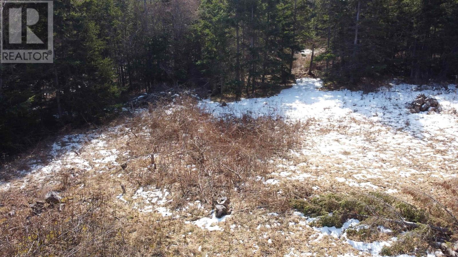 Lot 87-2 Highway 6, Wallace Ridge, Nova Scotia  B0K 1E0 - Photo 42 - 202506180