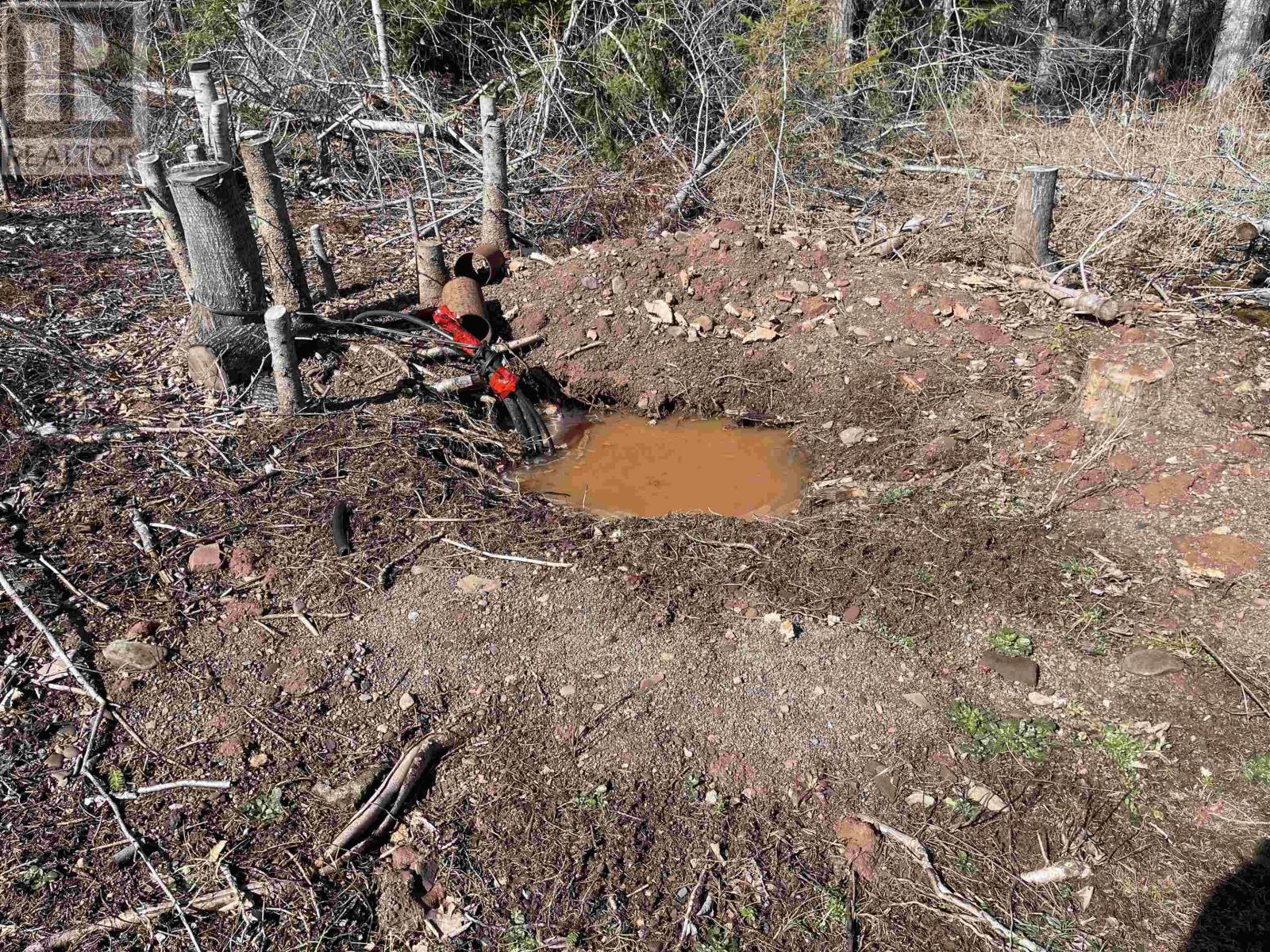 Lot 87-2 Highway 6, Wallace Ridge, Nova Scotia  B0K 1E0 - Photo 44 - 202506180