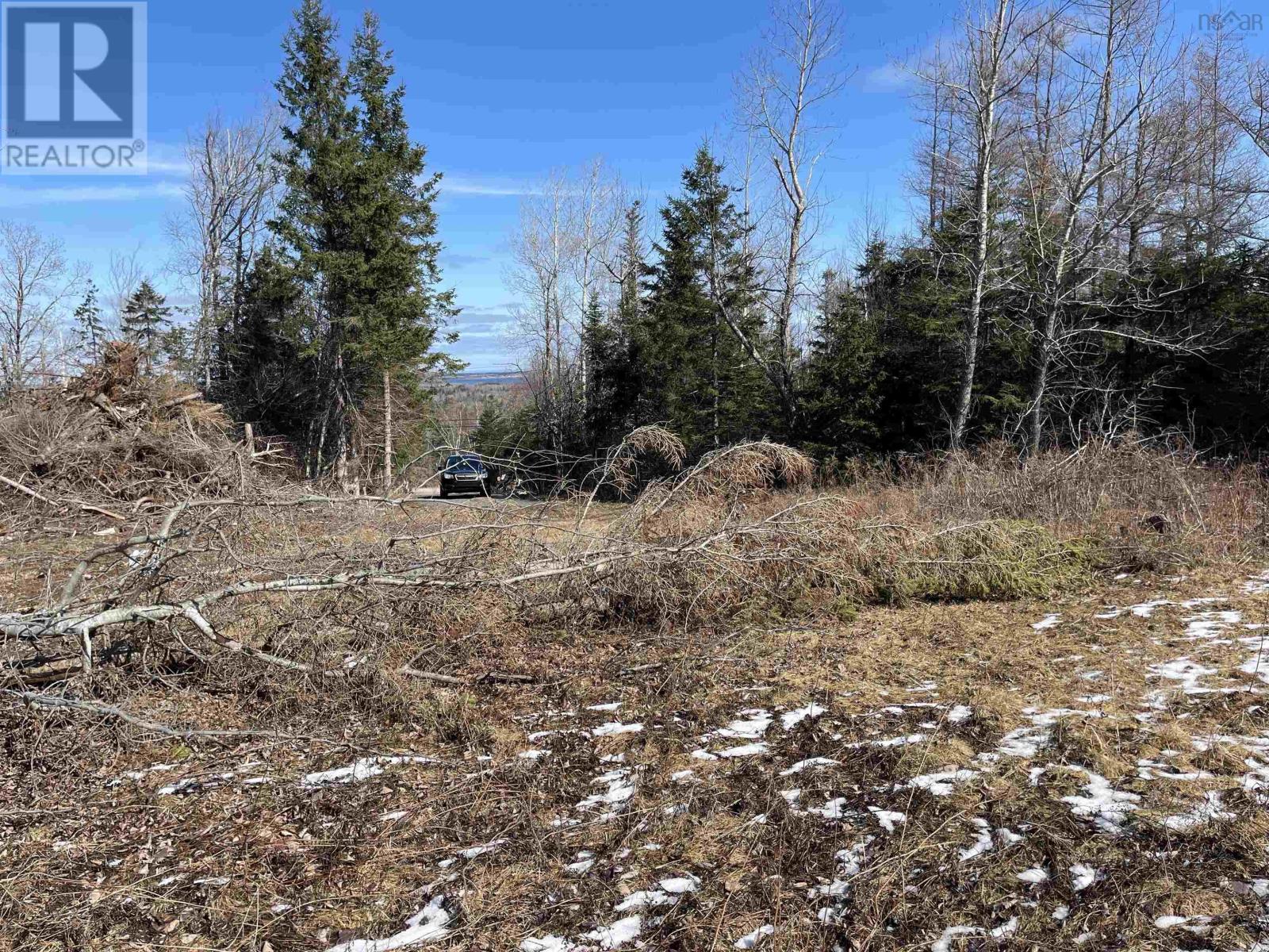 Lot 87-2 Highway 6, Wallace Ridge, Nova Scotia  B0K 1E0 - Photo 7 - 202506180