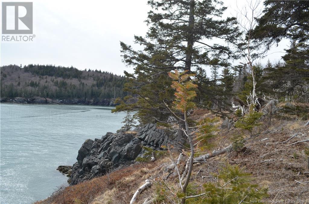 Shore Frt Lot 86-64 Fundy Drive, Campobello, New Brunswick  E5E 1X2 - Photo 4 - NB114563