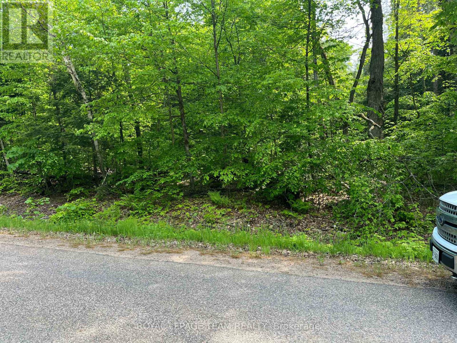 387 Sunny Hill Road, Madawaska Valley, Ontario  K0J 1B0 - Photo 4 - X12049772