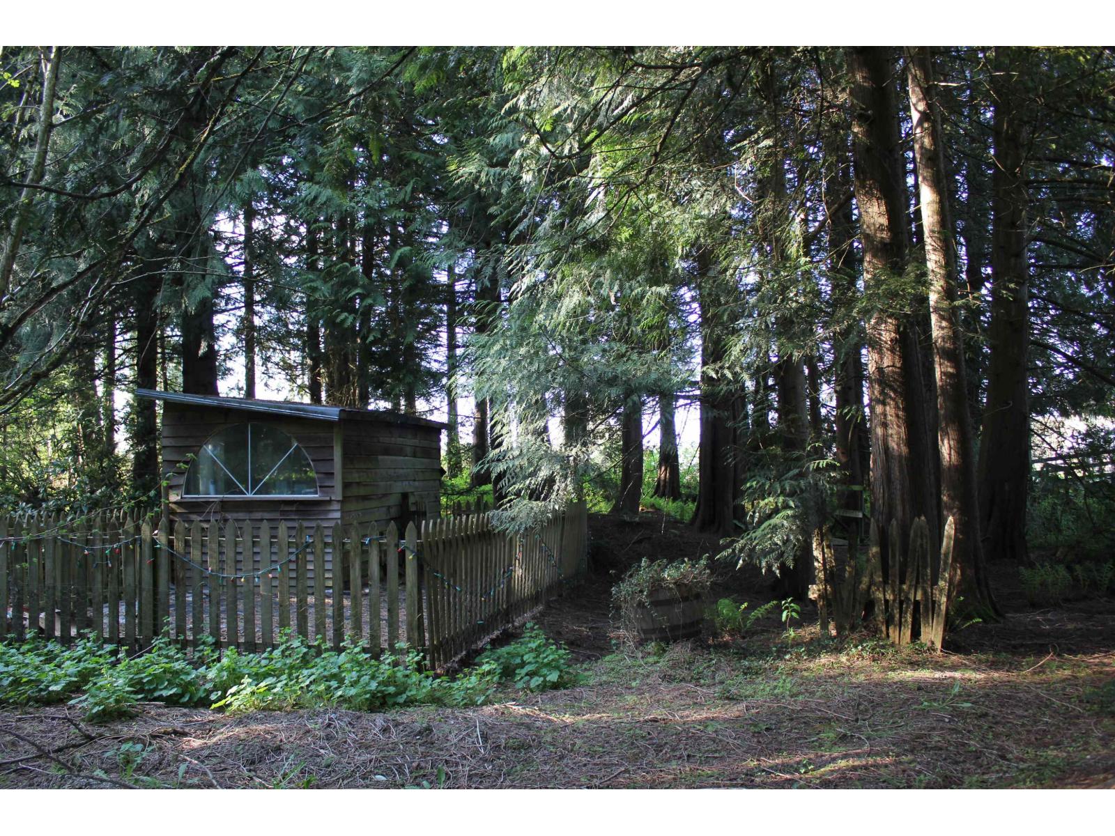 21787 6 Avenue, Langley, British Columbia  V2Z 1R6 - Photo 29 - R2974582