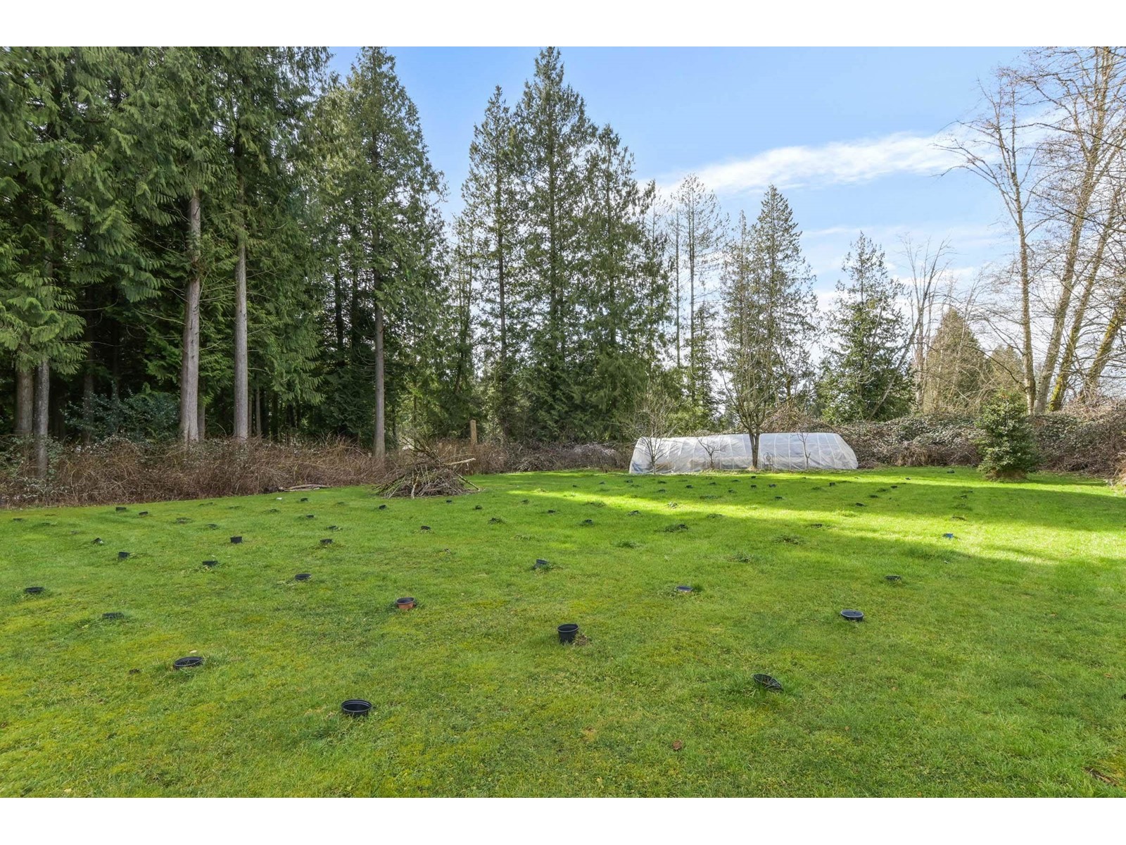 21787 6 Avenue, Langley, British Columbia  V2Z 1R6 - Photo 36 - R2974582