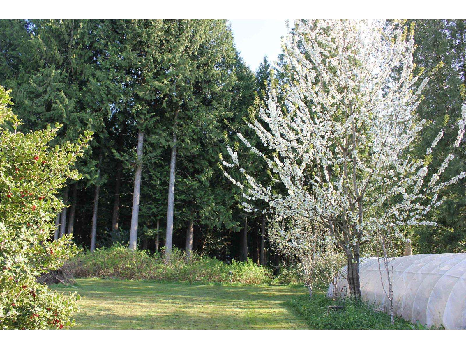 21787 6 Avenue, Langley, British Columbia  V2Z 1R6 - Photo 31 - R2974582