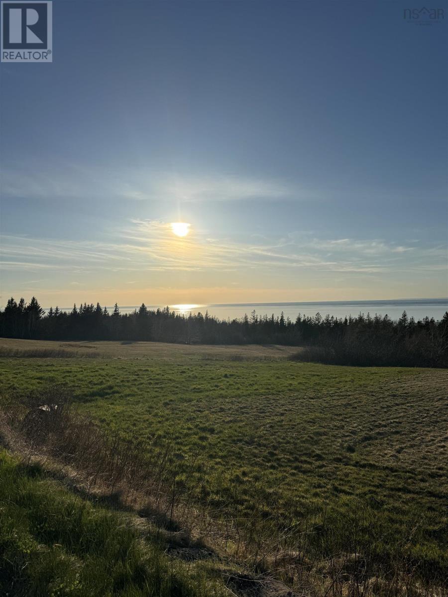 Shore Road, Phinneys Cove, Nova Scotia  B0S 1L0 - Photo 3 - 202506189