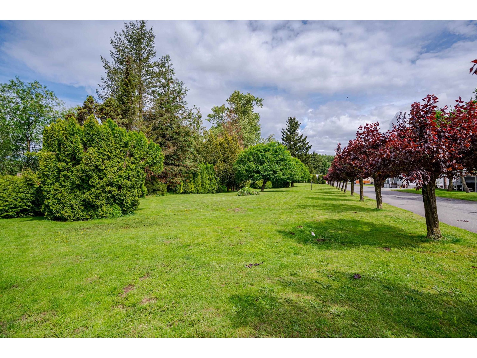 141 27111 0 Avenue, Langley, British Columbia  V4W 2T3 - Photo 30 - R2965003