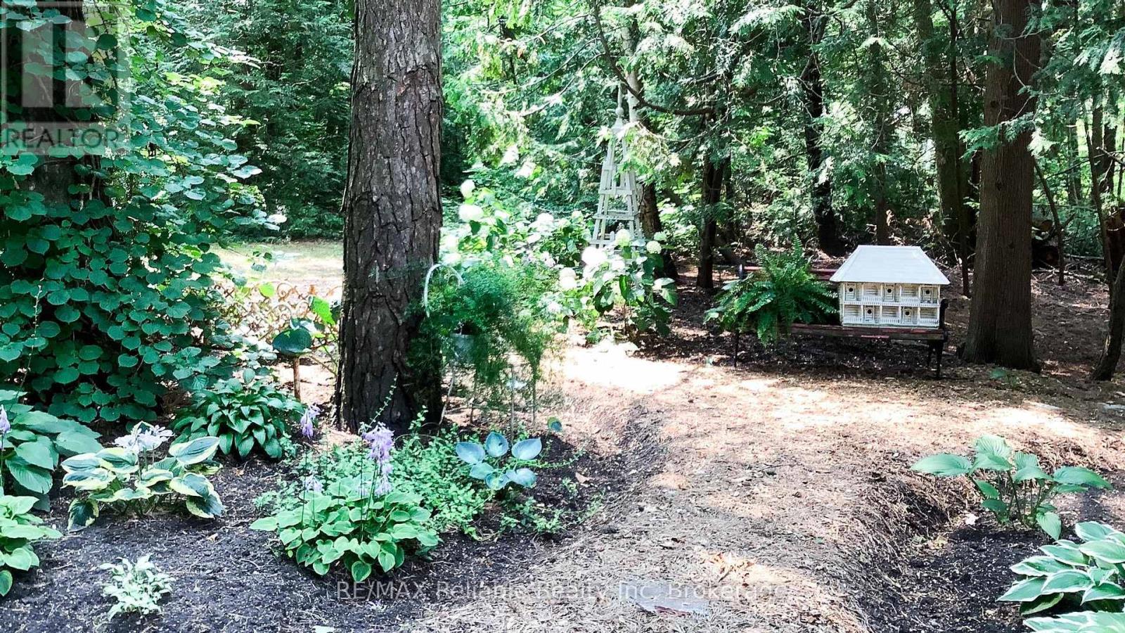 38 Cameron Street, Bluewater, Ontario  N0M 1G0 - Photo 40 - X12050216