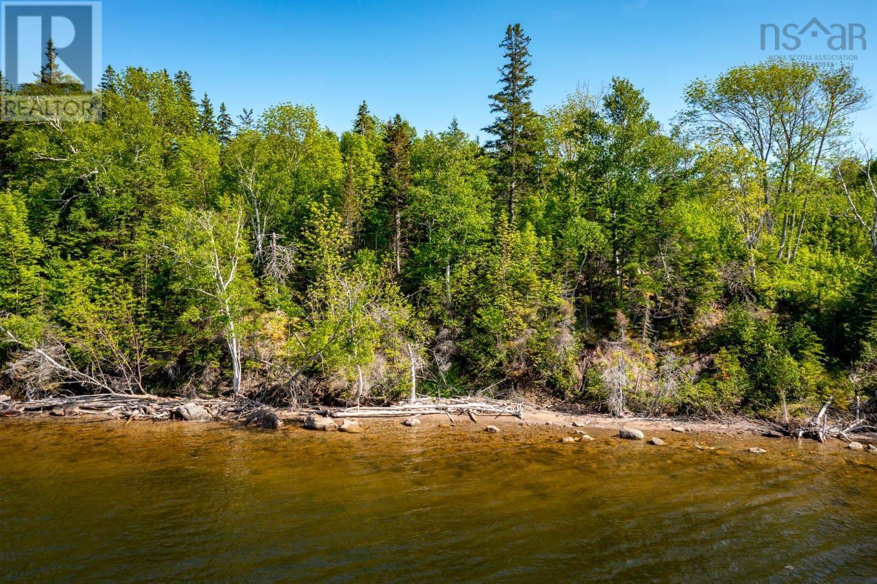 South Cove Road, South Cove, South Cove, Nova Scotia  B0E 1T0 - Photo 23 - 202506199