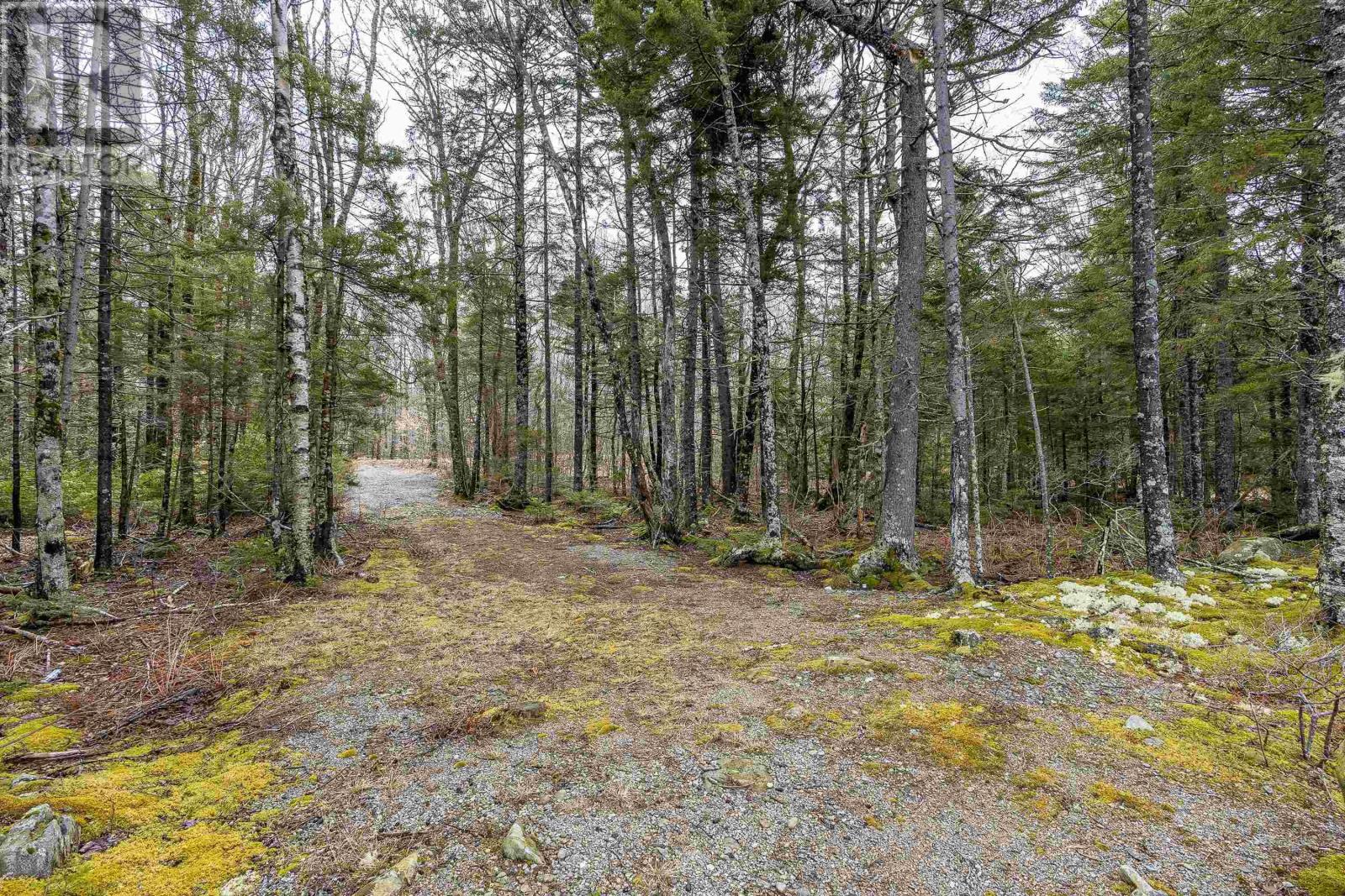 Lot Fournier Road, Corberrie, Nova Scotia  B0H 1M0 - Photo 10 - 202506208