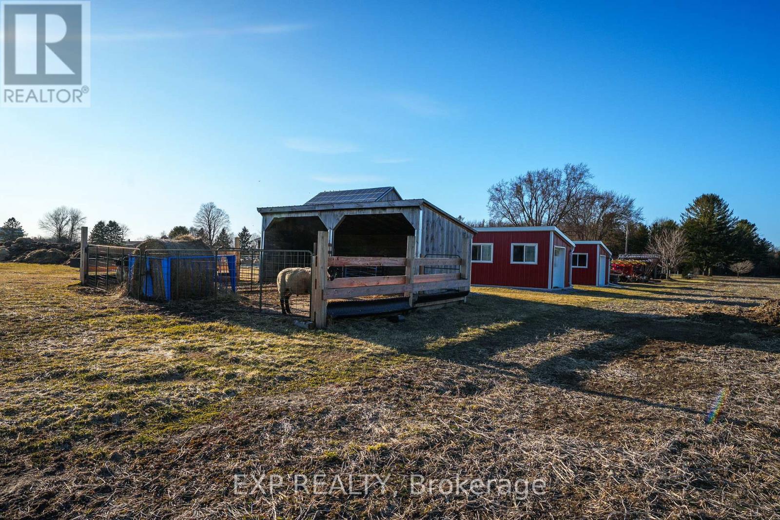 8923 Morning Glory Road, Georgina, Ontario  L0E 1N0 - Photo 41 - N12050409