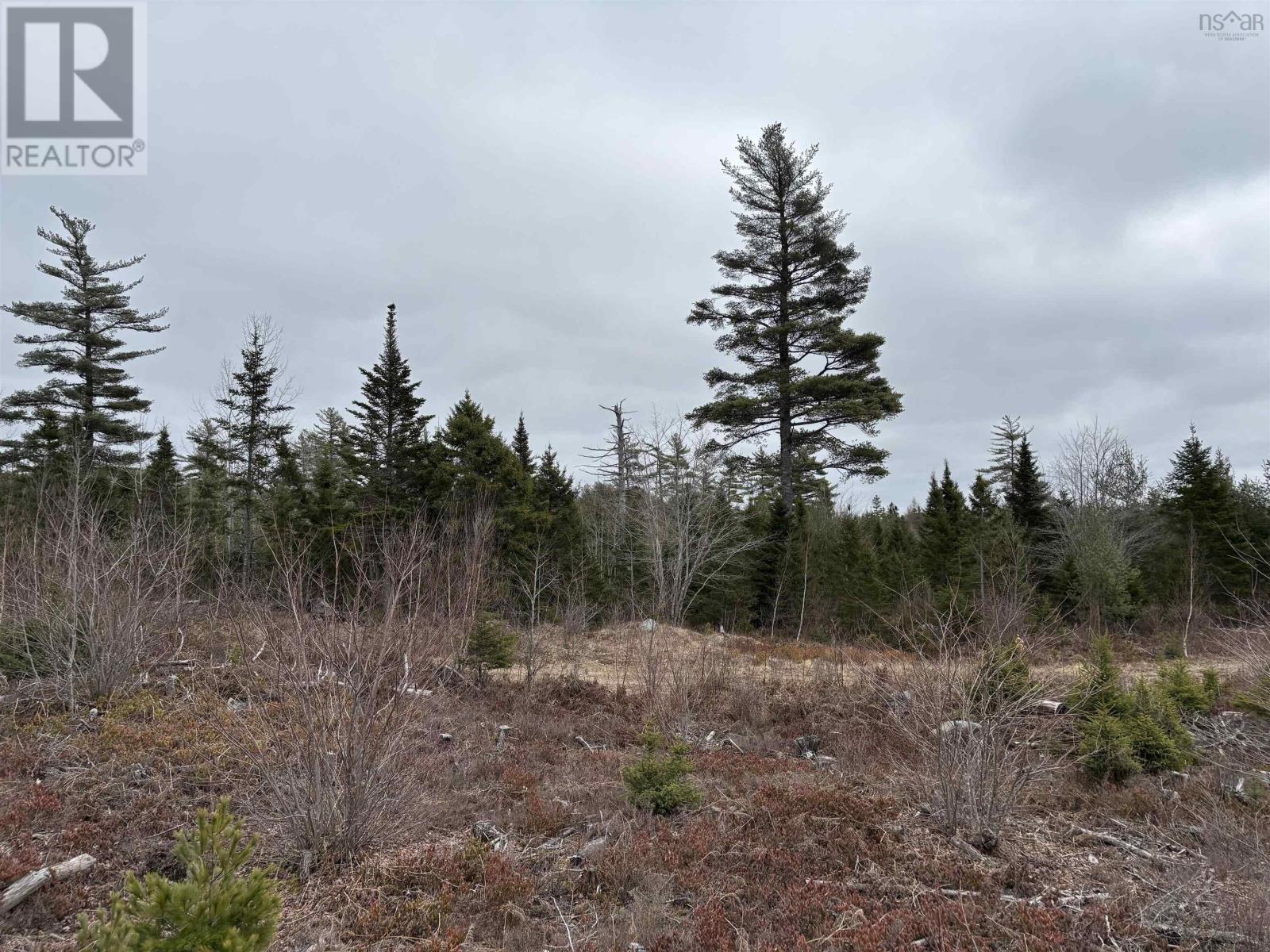 Lot 4 Albany New Road, albany new, Nova Scotia