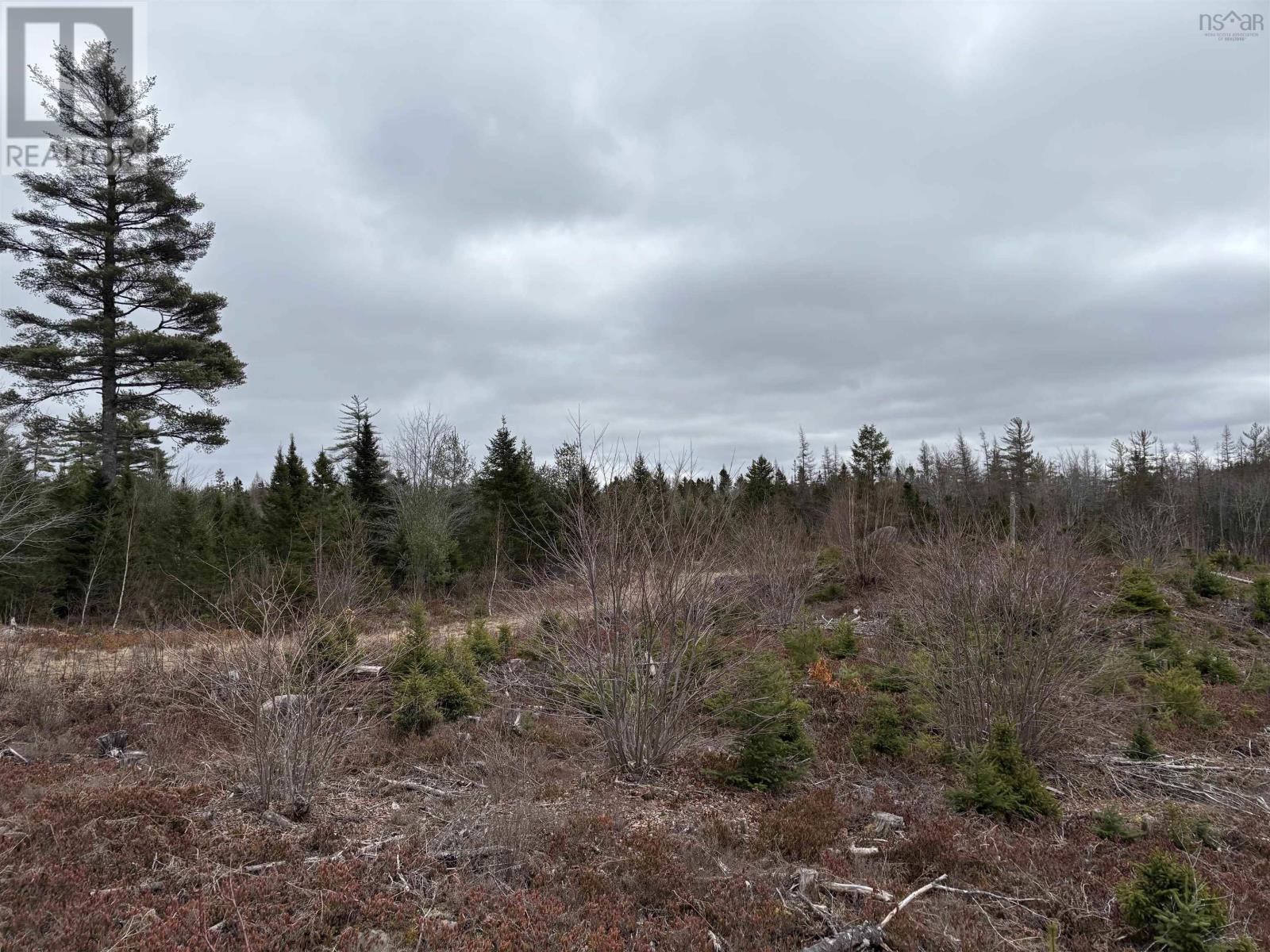 Lot 4 Albany New Road, Albany New, Nova Scotia  B0T 1B0 - Photo 2 - 202506220