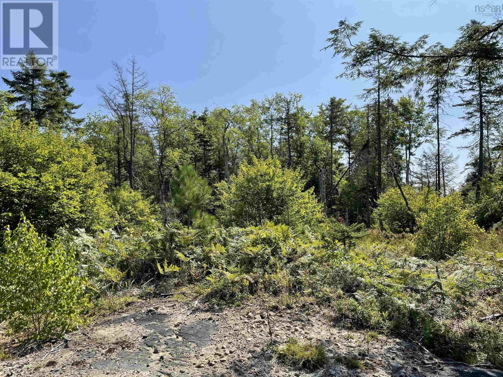 Lot 5 Albany New Road, Albany New, Nova Scotia  B0T 1B0 - Photo 2 - 202506221