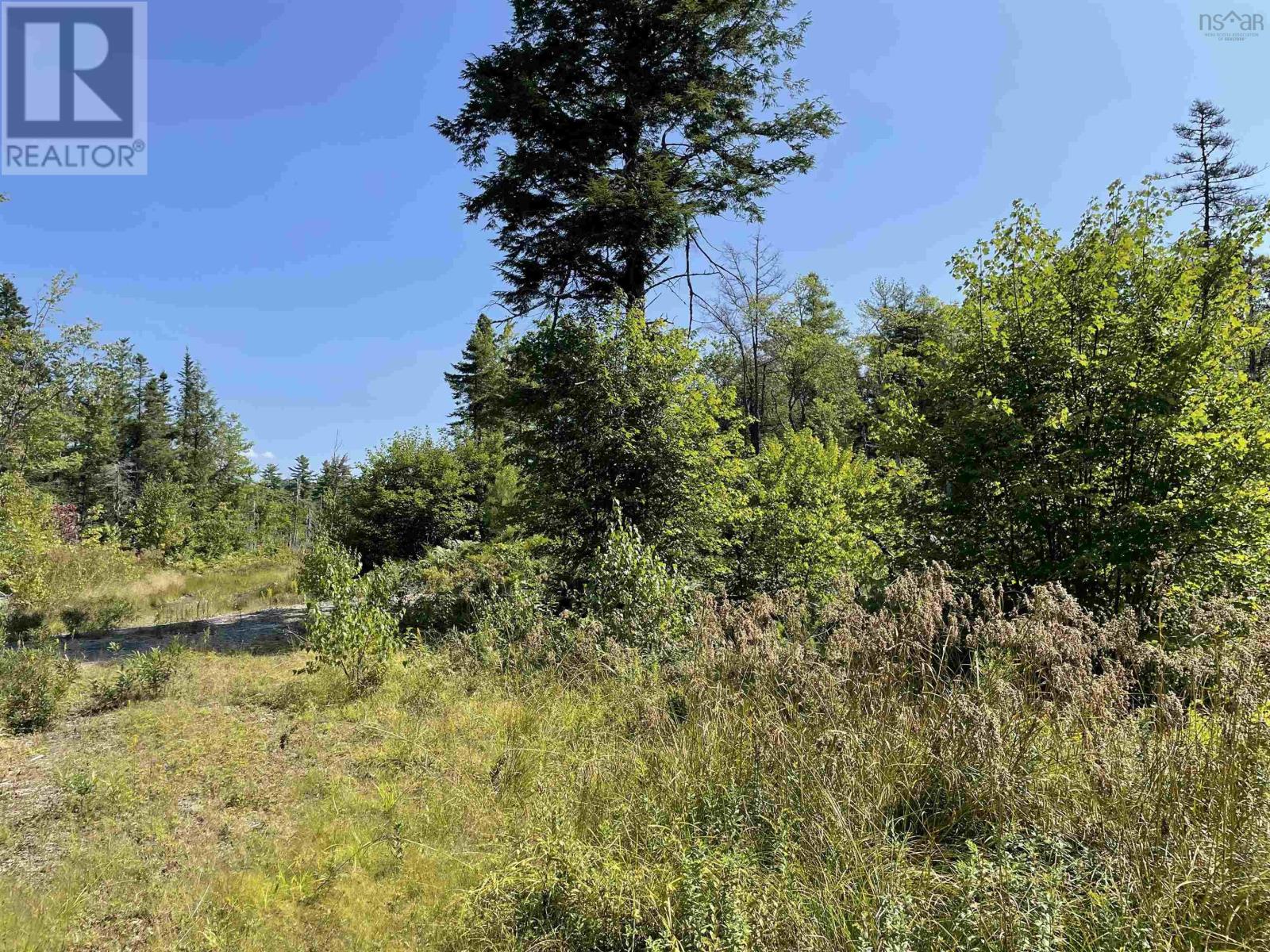 Lot 5 Albany New Road, Albany New, Nova Scotia  B0T 1B0 - Photo 3 - 202506221