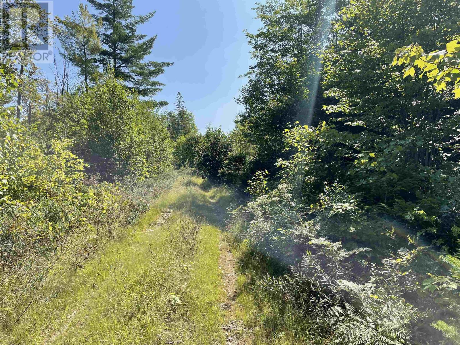 Lot 5 Albany New Road, Albany New, Nova Scotia  B0T 1B0 - Photo 4 - 202506221