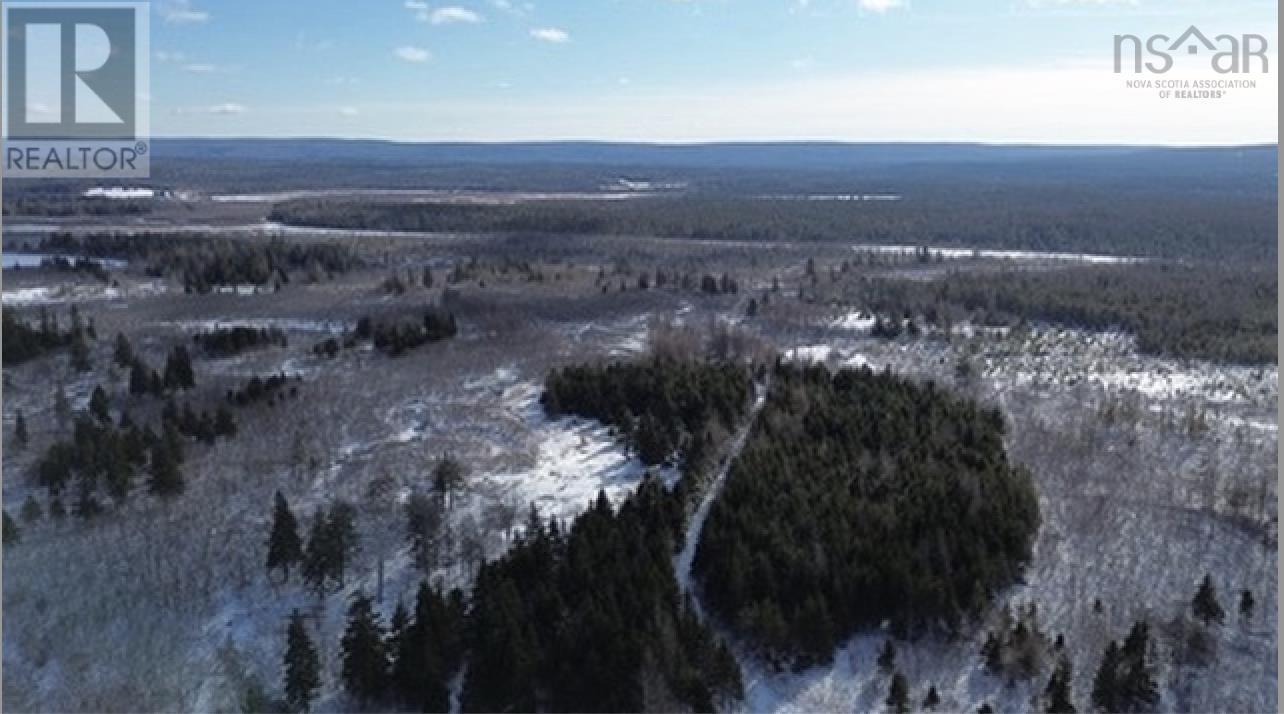 6760 Highway 105, Upper River Denys, Nova Scotia  B0E 3M0 - Photo 12 - 202501659