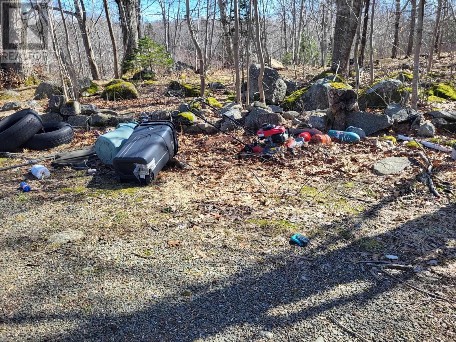 206 Morganville Road, Bear River, Nova Scotia  B0S 1B0 - Photo 23 - 202505406