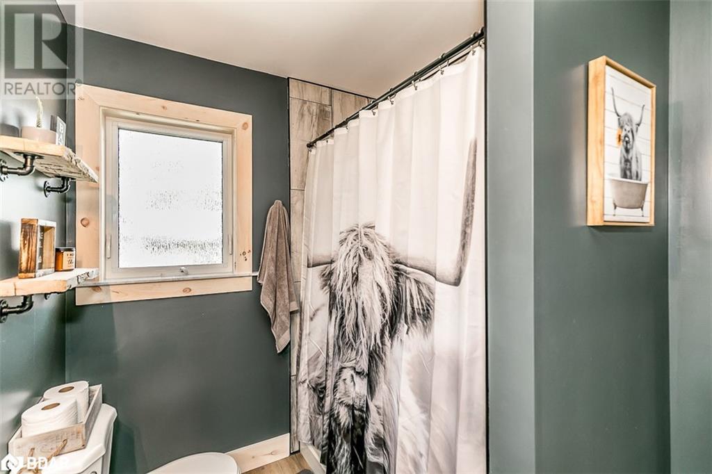 7216 County Road 13, Lisle, Ontario  L0M 1M0 - Photo 18 - 40711747