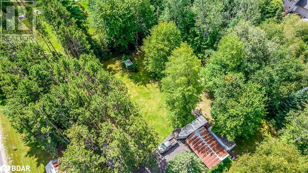 7216 County Road 13, Lisle, Ontario  L0M 1M0 - Photo 40 - 40711747