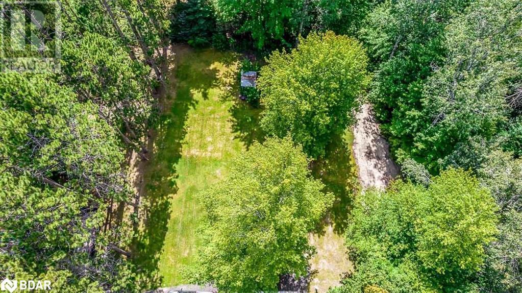 7216 County Road 13, Lisle, Ontario  L0M 1M0 - Photo 41 - 40711747