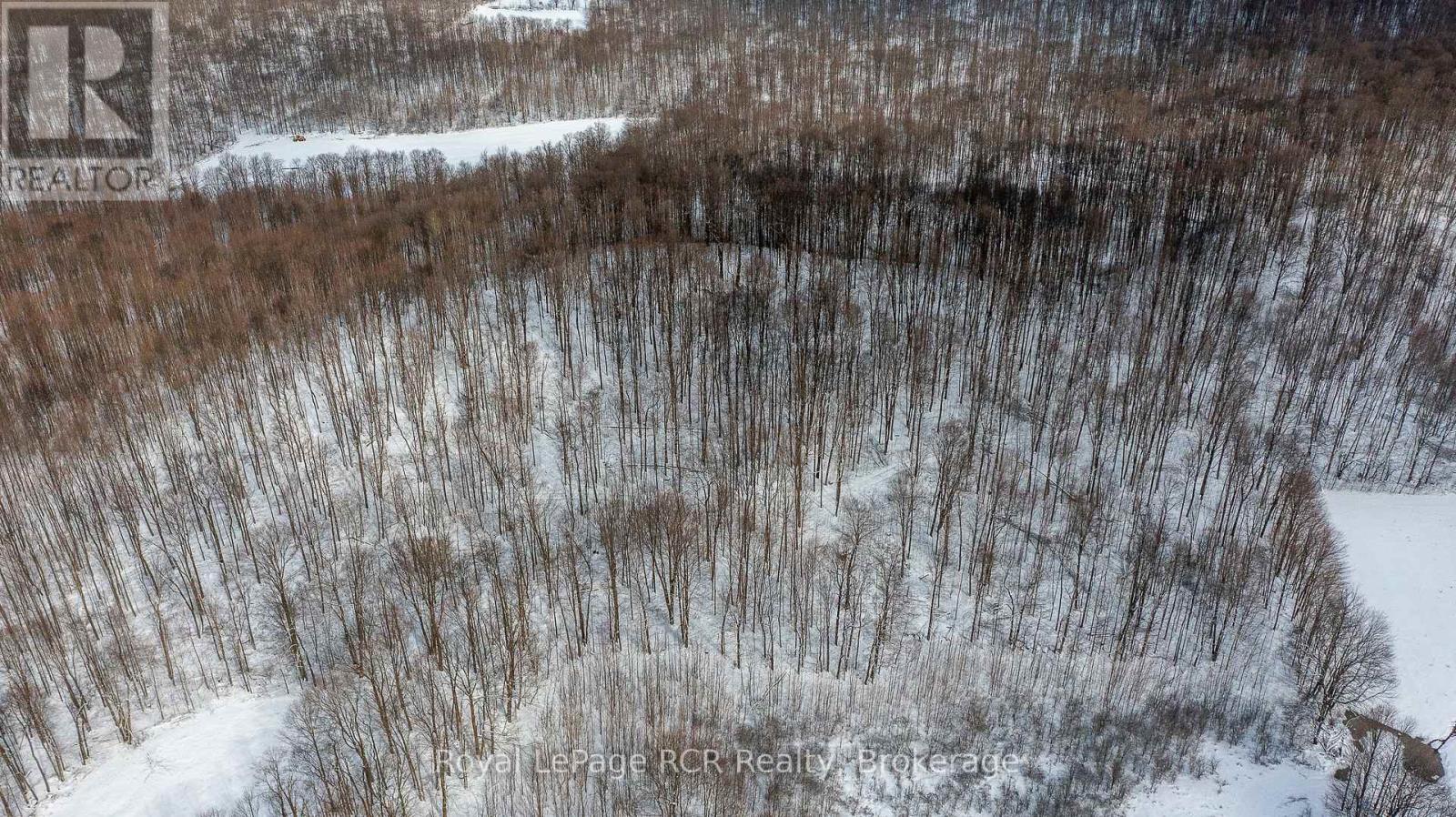 Lot 9 12th Concession B, Grey Highlands, Ontario  N0C 1C0 - Photo 11 - X12049522