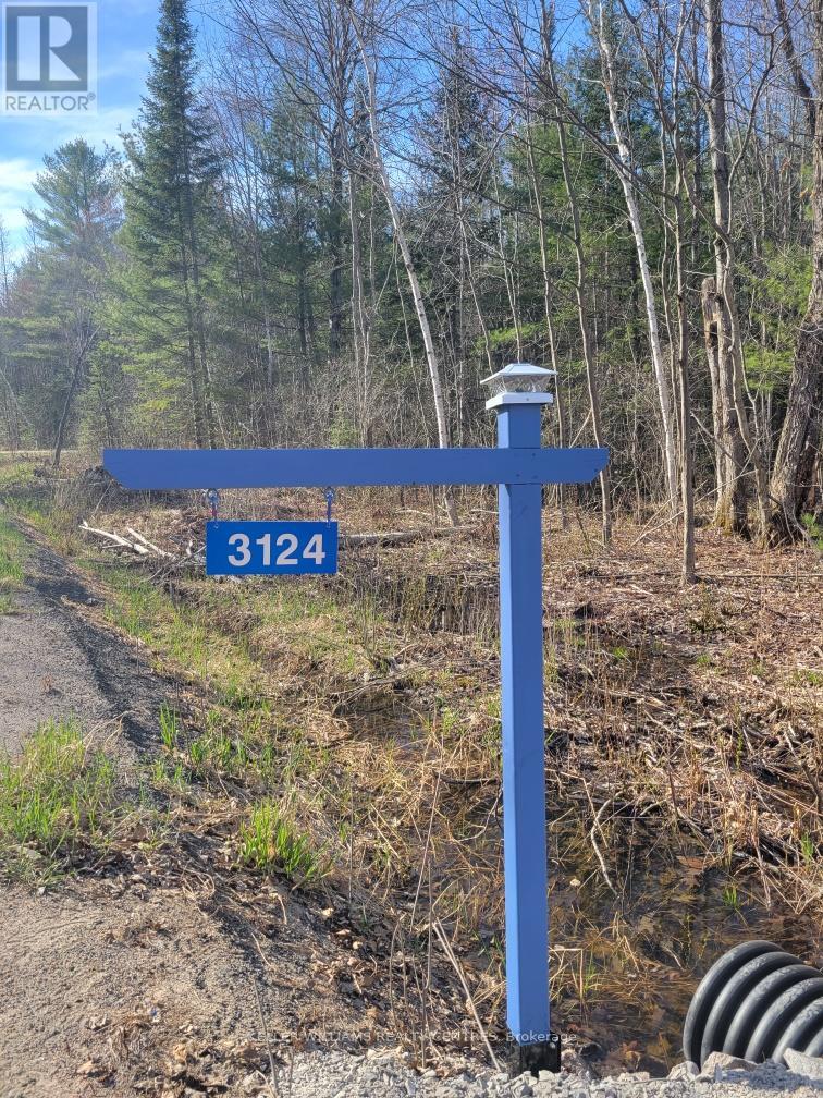3124 Southwood Road, Gravenhurst (Wood (Gravenhurst)), Ontario  P0E 1G0 - Photo 13 - X12050515
