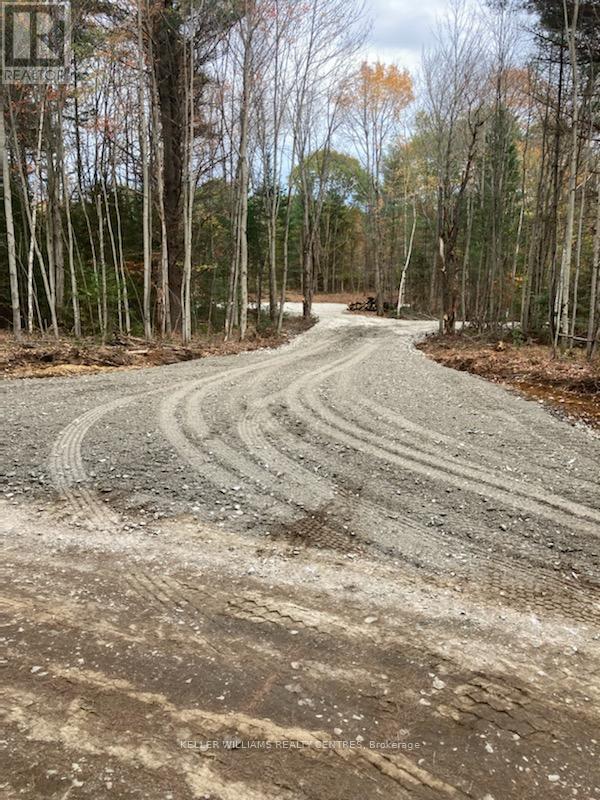 3124 Southwood Road, Gravenhurst (Wood (Gravenhurst)), Ontario  P0E 1G0 - Photo 16 - X12050515