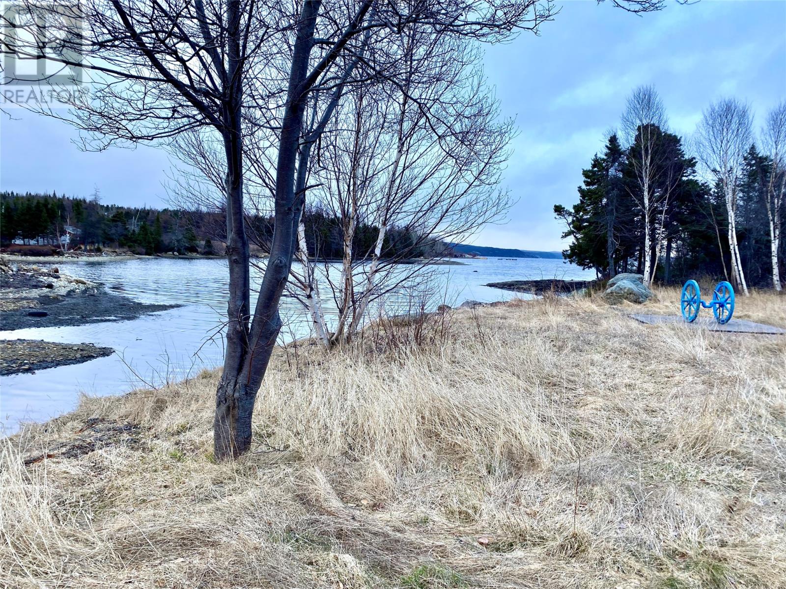 291 Snook's Harbour Road, Random Island, Newfoundland & Labrador  A5A 3A1 - Photo 20 - 1283072