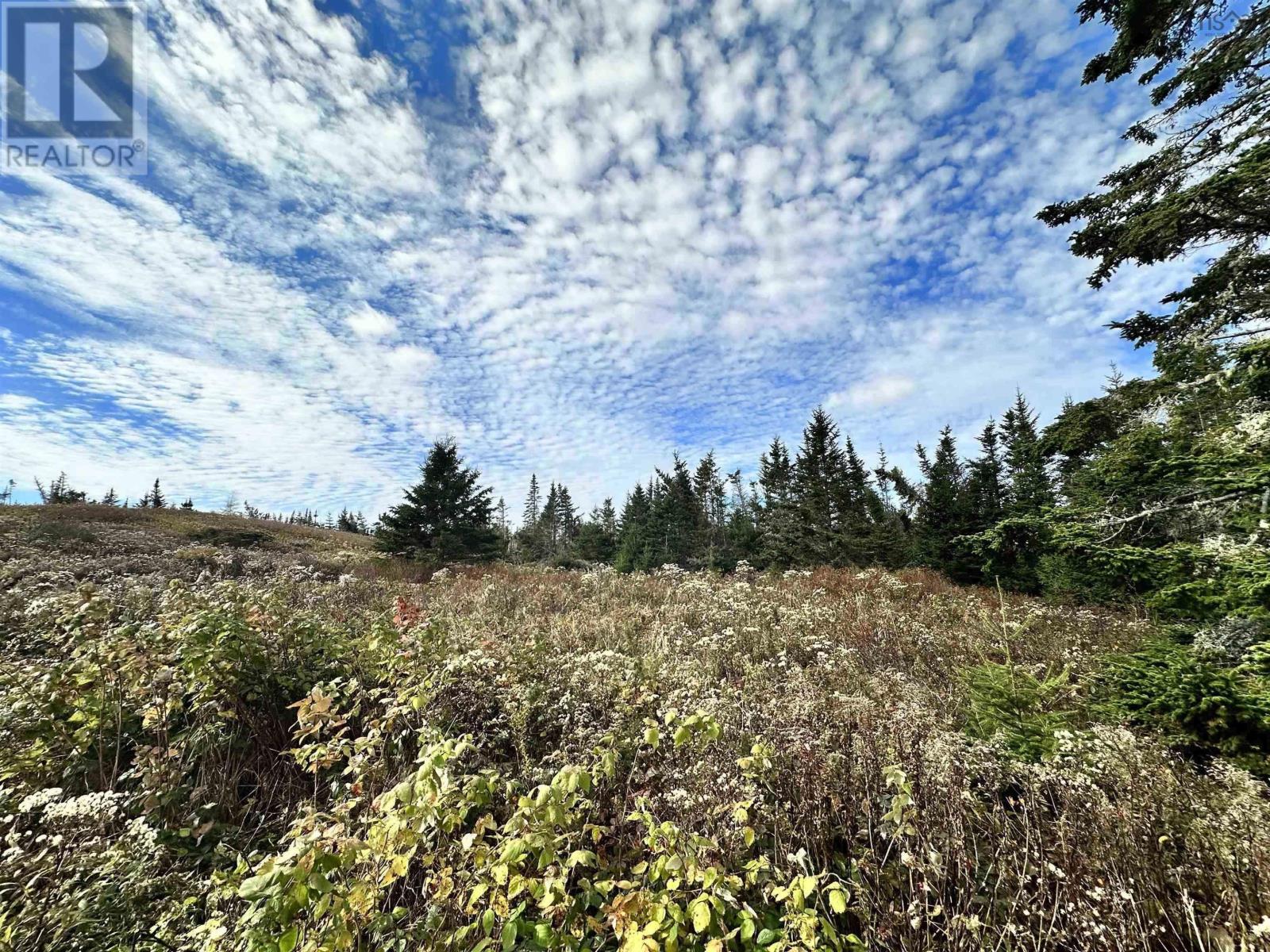 Lot Gammon Road, West Quoddy, Nova Scotia  B0J 2R0 - Photo 13 - 202506246