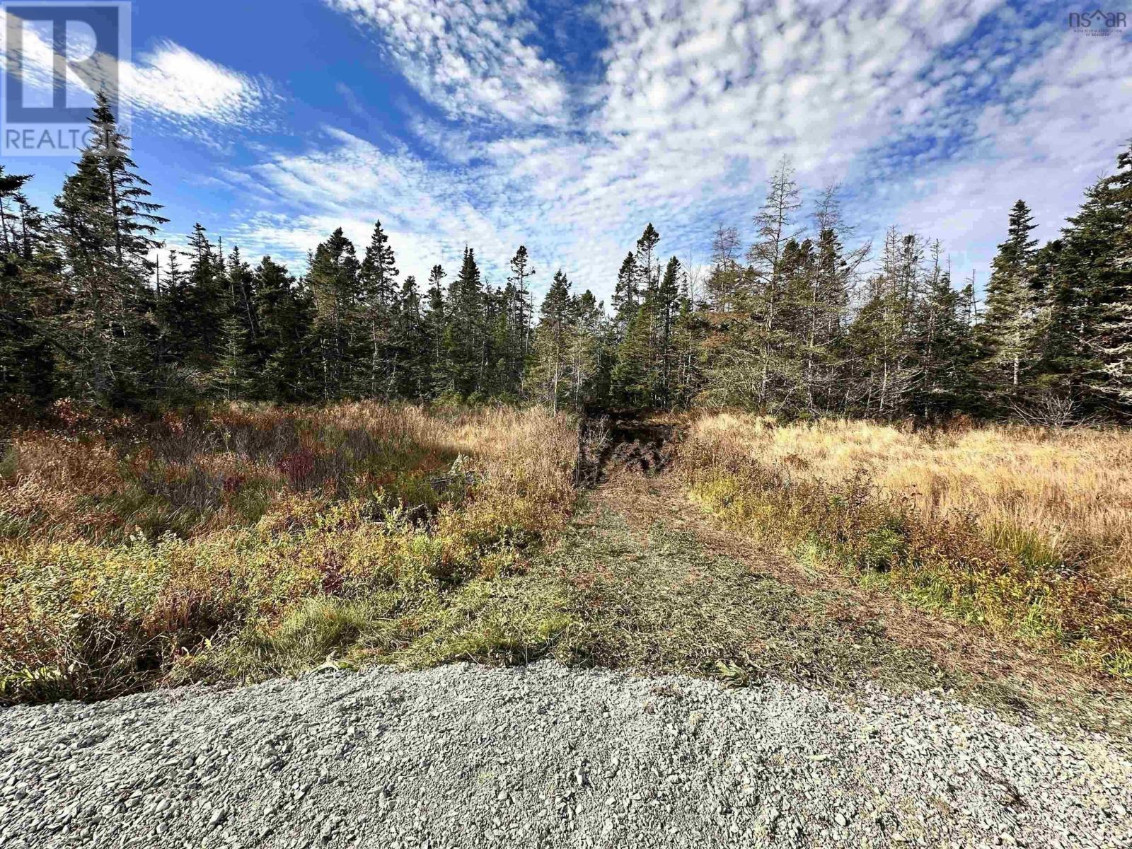 Lot Gammon Road, West Quoddy, Nova Scotia  B0J 2R0 - Photo 14 - 202506246