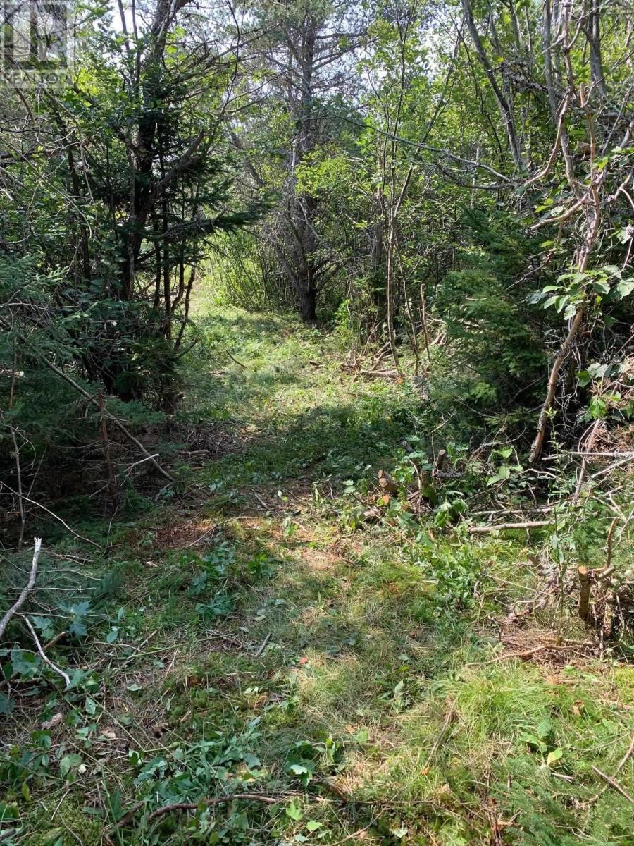 Lot 1328 Highway 348, Caledonia, Nova Scotia  B0H 1E0 - Photo 5 - 202506247