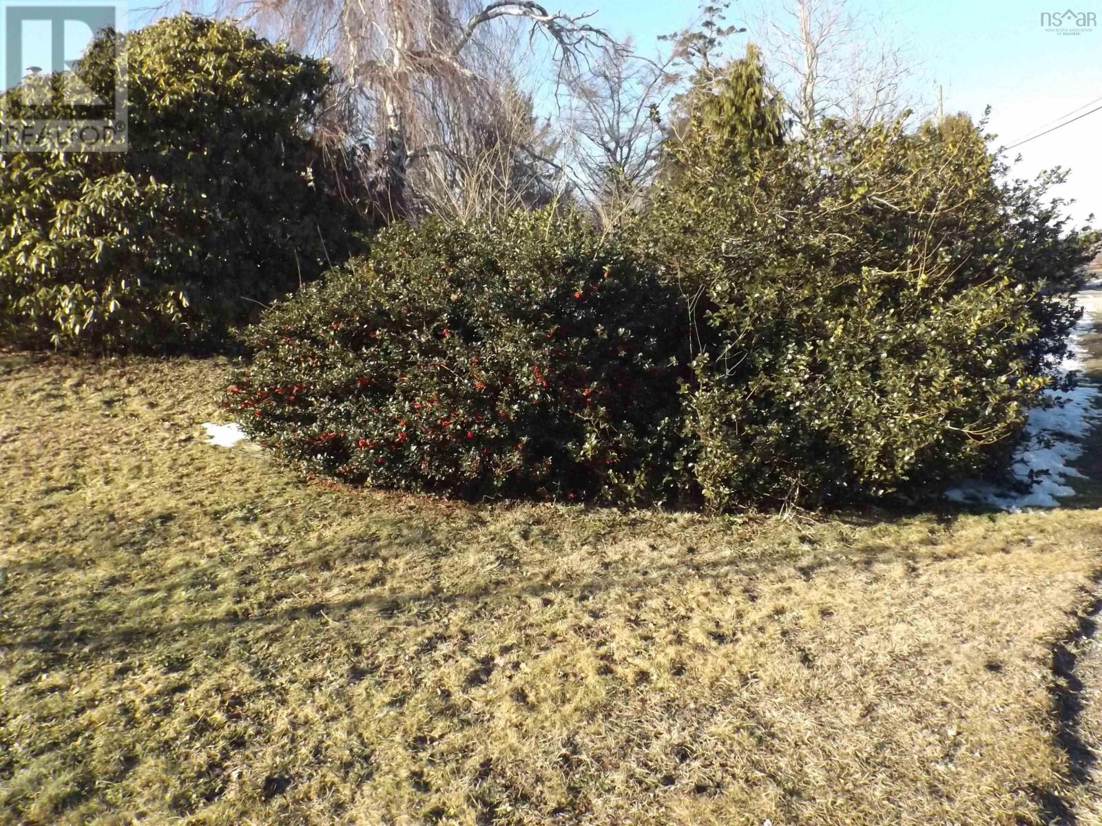 1322 Highway 308, Surettes Island, Nova Scotia  B0W 3M0 - Photo 40 - 202506256