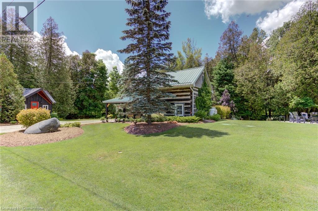 Property at 146 FIELD Street image 3
