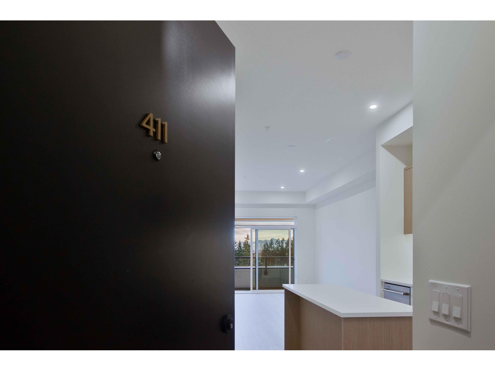 411 2620 152 Street, Surrey, British Columbia  V4P 0H8 - Photo 17 - R2981340