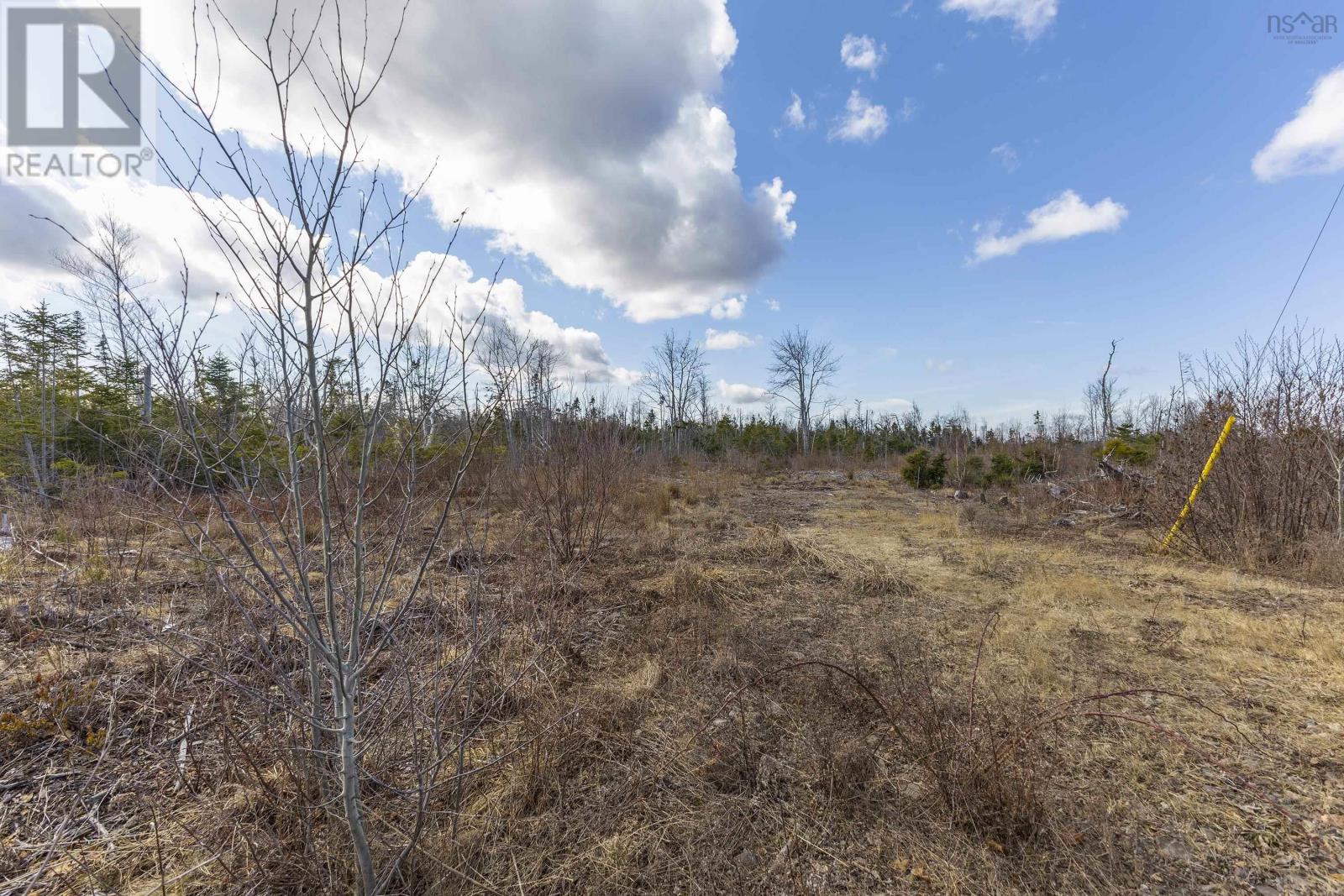 Lots Shore Road, Waterside, Nova Scotia  B0K 2A0 - Photo 10 - 202506257