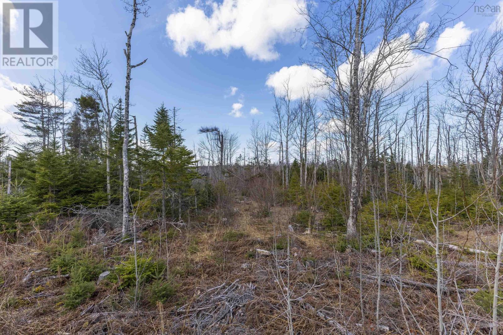 Lots Shore Road, Waterside, Nova Scotia  B0K 2A0 - Photo 18 - 202506257