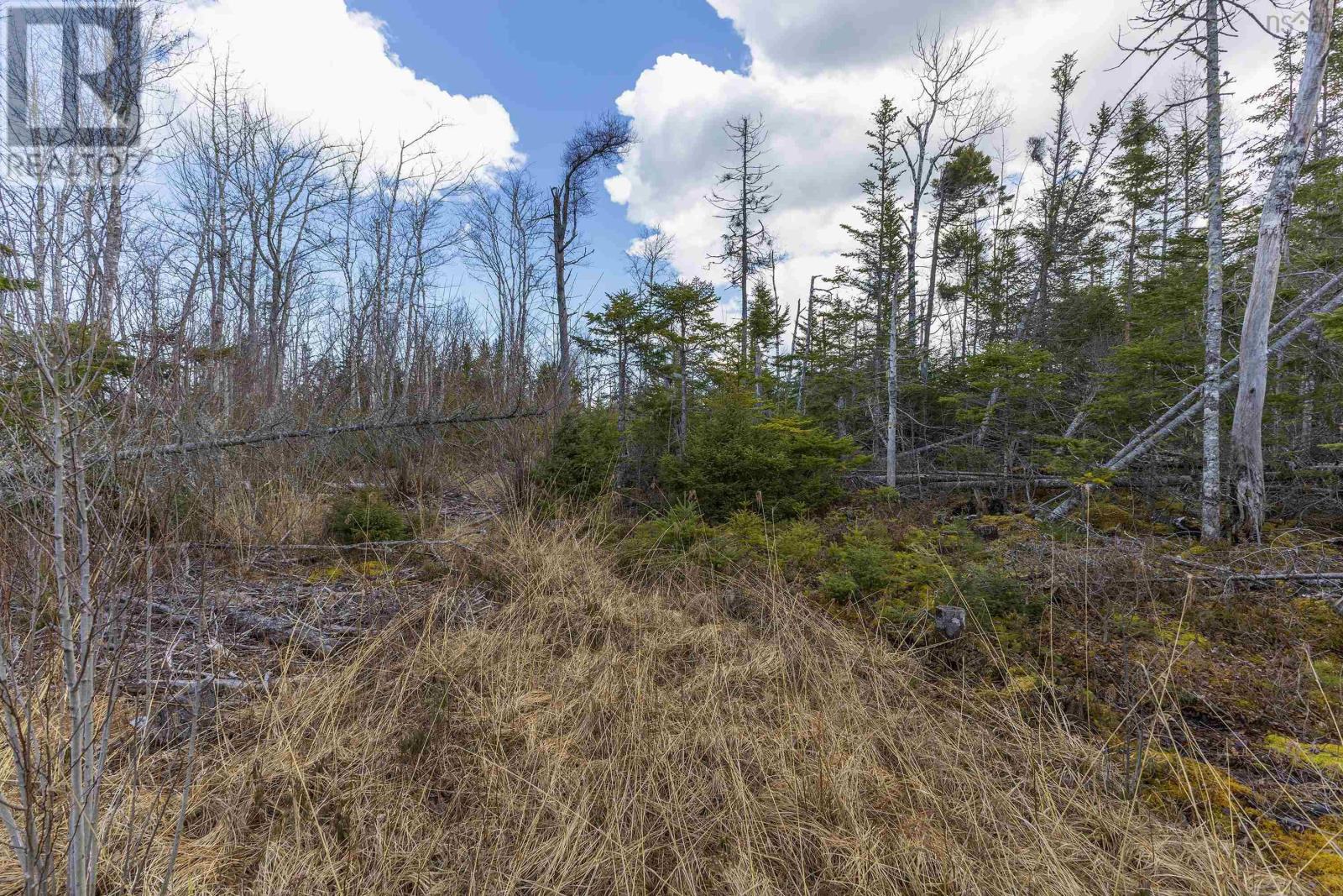 Lots Shore Road, Waterside, Nova Scotia  B0K 2A0 - Photo 19 - 202506257