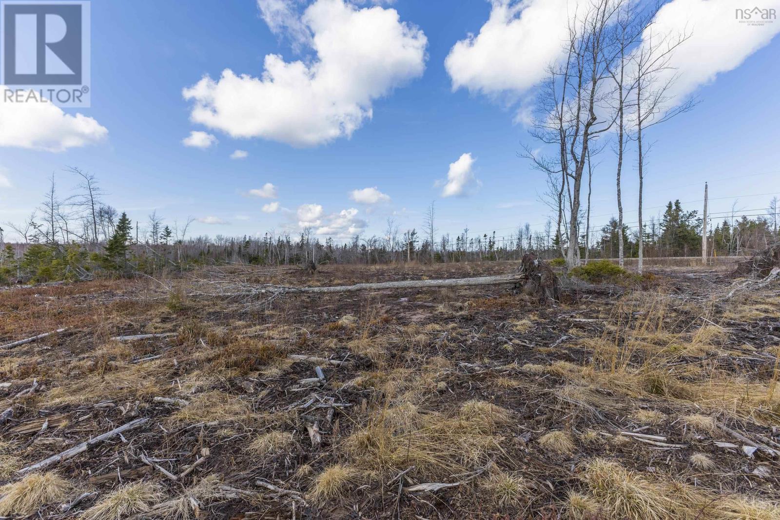 Lots Shore Road, Waterside, Nova Scotia  B0K 2A0 - Photo 20 - 202506257