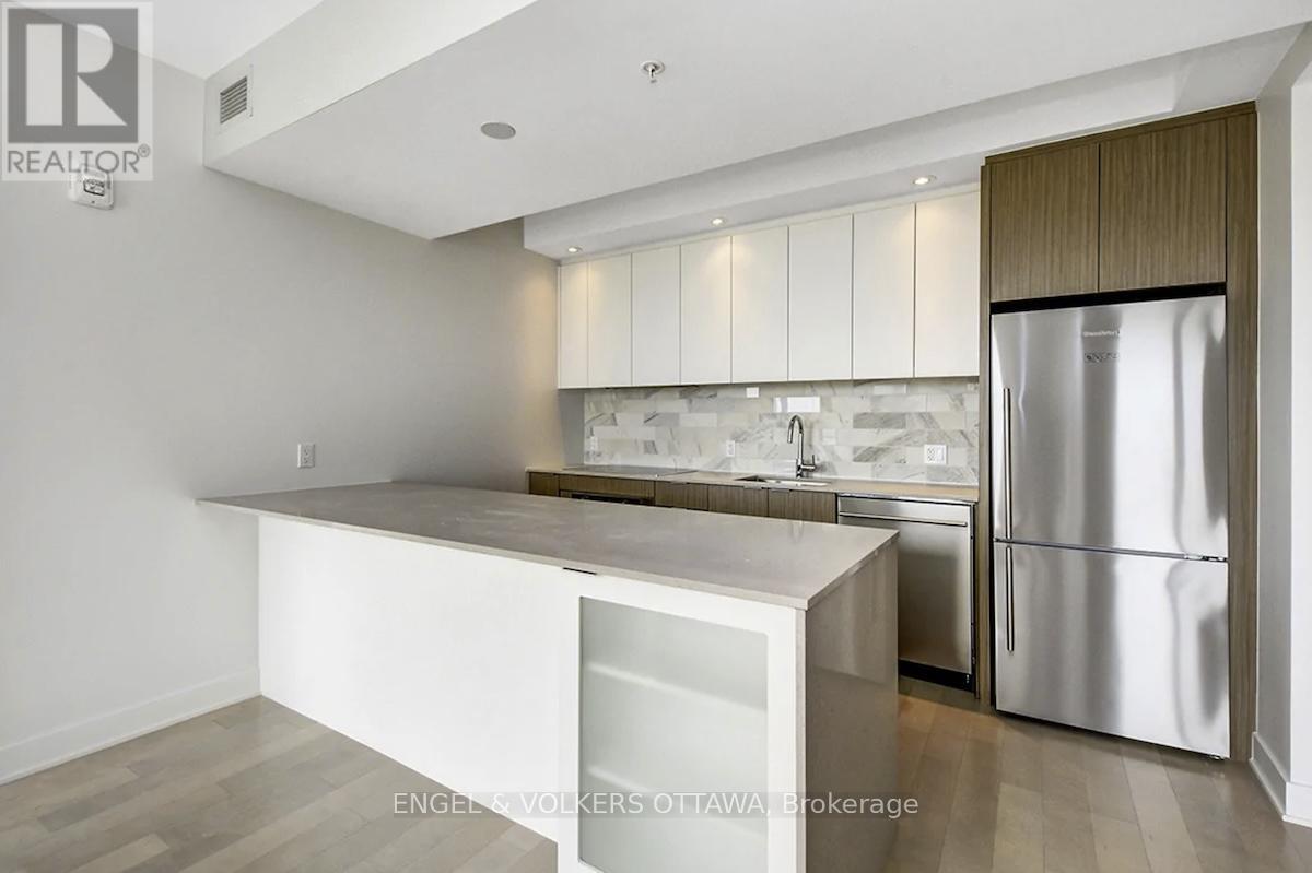 2009 - 20 Daly Avenue, Ottawa, Ontario  K1N 6E2 - Photo 6 - X12051000