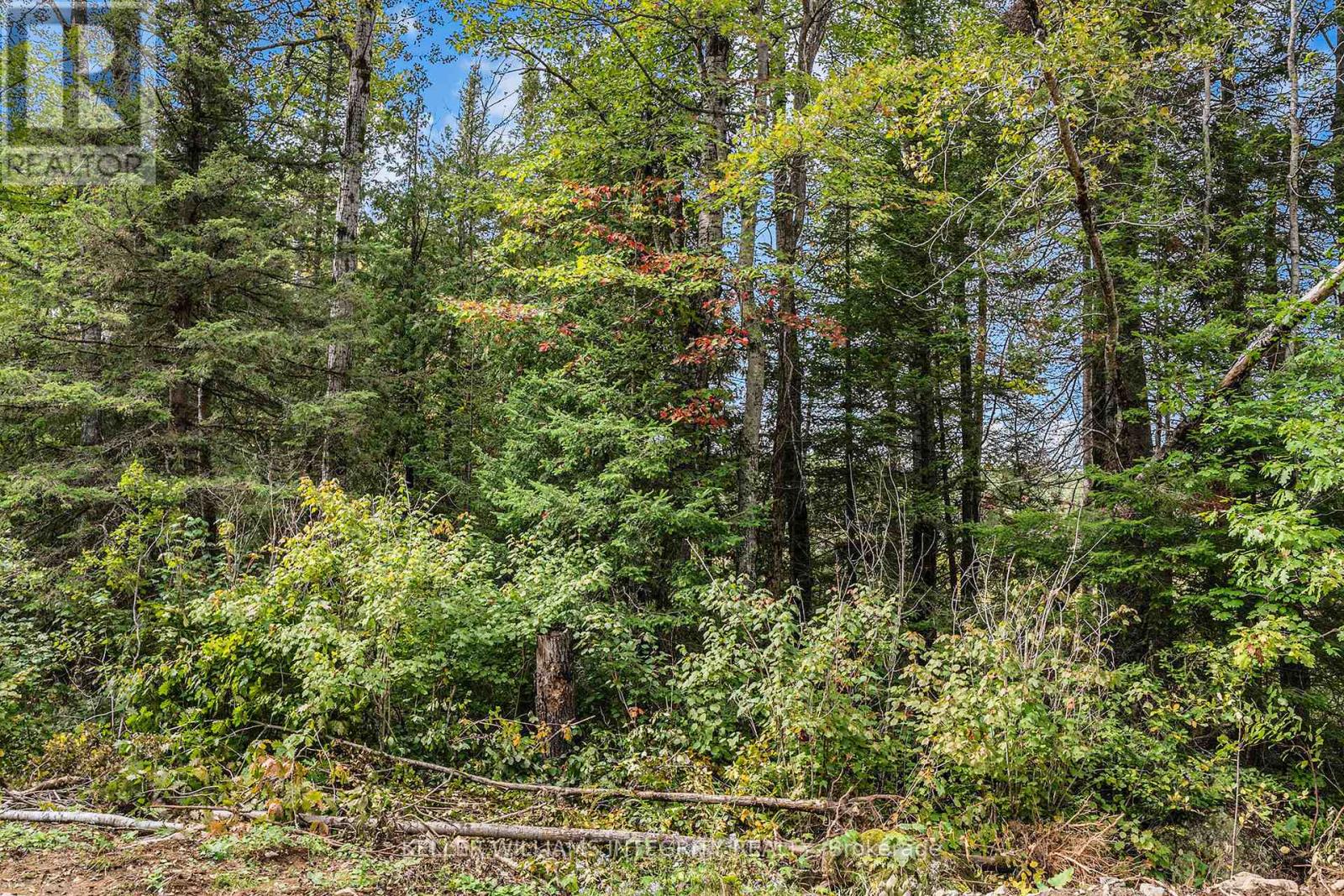 L14,15 Triple Tower Road, Lanark Highlands, Ontario  K0G 1K0 - Photo 40 - X12051137