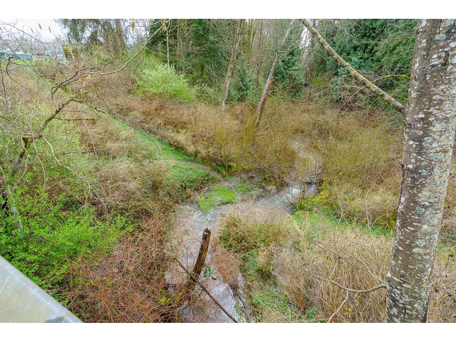 106 9018 208 Street, Langley, British Columbia  V1M 2Y8 - Photo 33 - R2983265