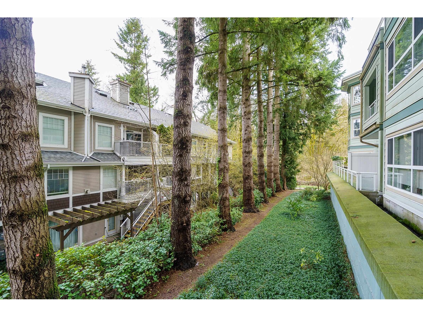 106 9018 208 Street, Langley, British Columbia  V1M 2Y8 - Photo 29 - R2983265