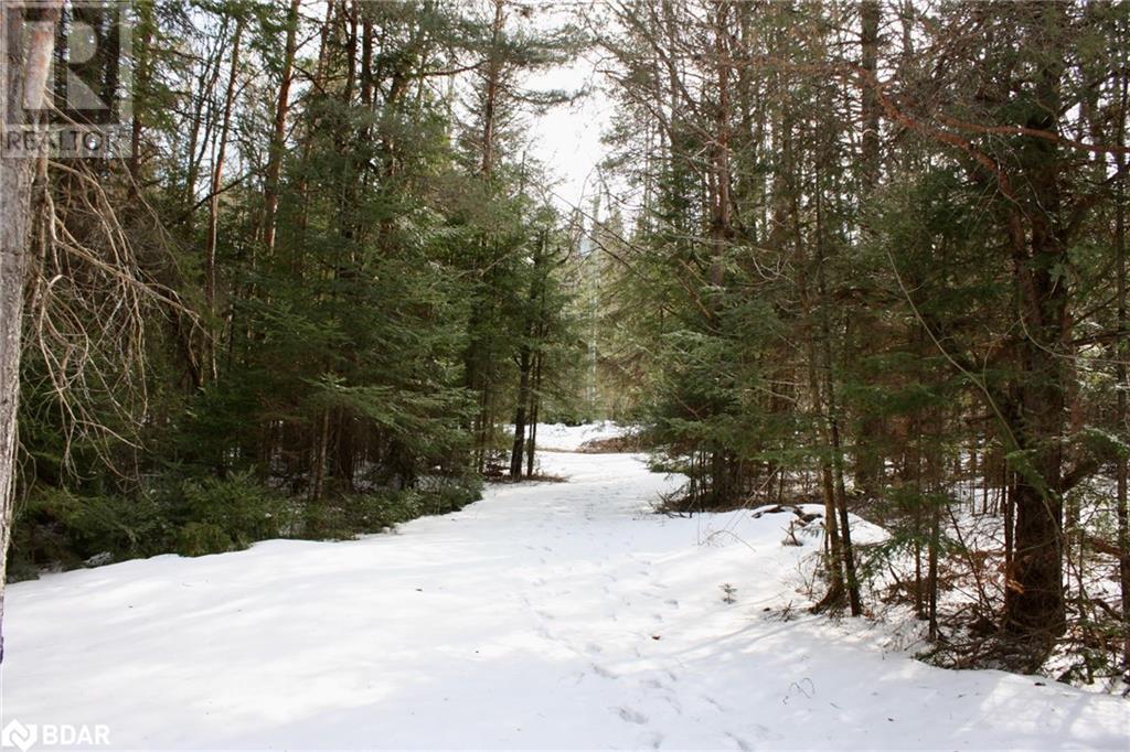449 Limerick Lake Road, Limerick, Ontario  K0L 1W0 - Photo 21 - 40711944