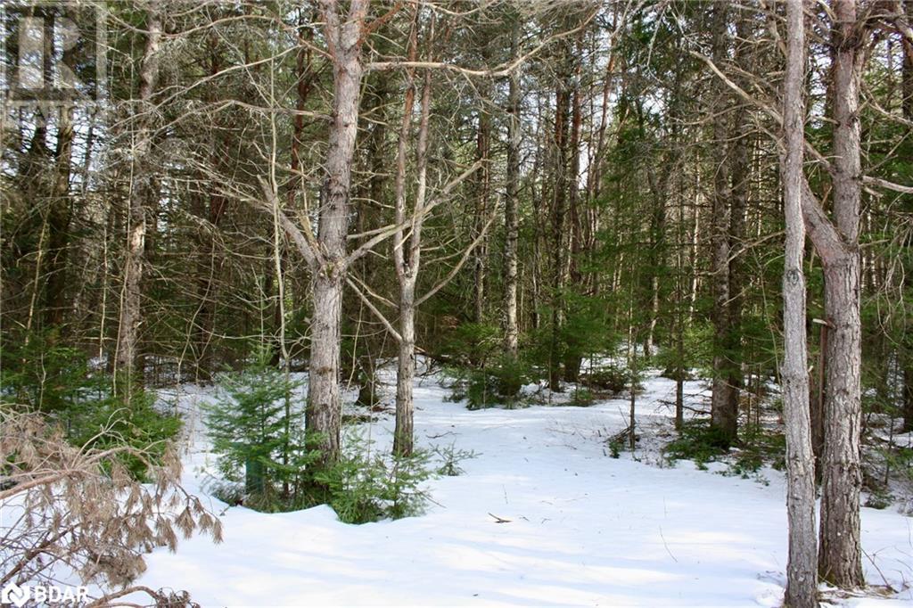 449 Limerick Lake Road, Limerick, Ontario  K0L 1W0 - Photo 13 - 40711944