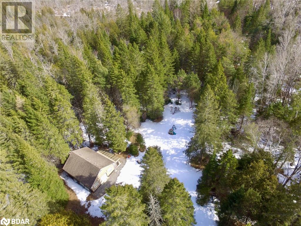 449 Limerick Lake Road, Limerick, Ontario  K0L 1W0 - Photo 25 - 40711944